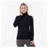 BR Pulli Desi Meteorite