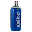 Carr & Day & Martin Shampoo Gallop Colour 500 ml