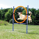 TRIXIE Dog Activity Agility Ring