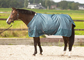 Harry's Horse Regendeken 0gr Thor Orion Blue