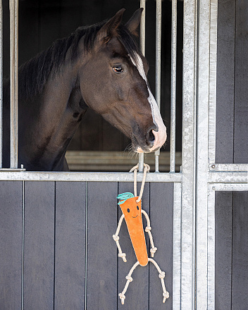 QHP Paardenspeelgoed Wortel