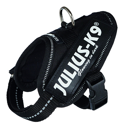 Julius K9 IDC harness black