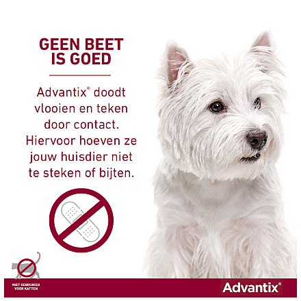 Advantix 250 4 pipetten