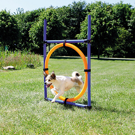 TRIXIE Dog Activity Agility Ring