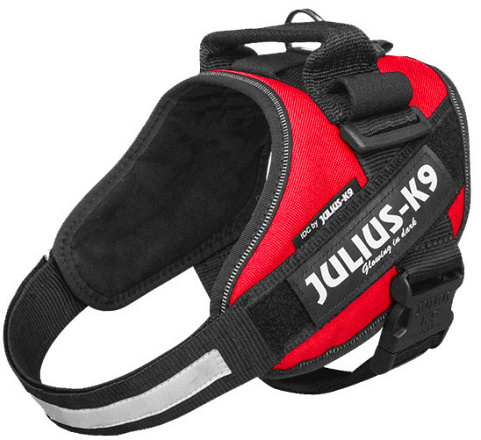 Julius K9 IDC Powerharness red