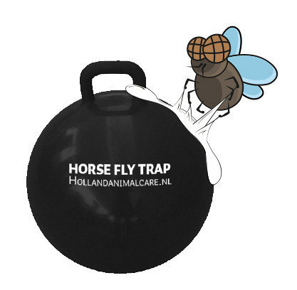 Horse Fly Trap Ball <br>45 cm