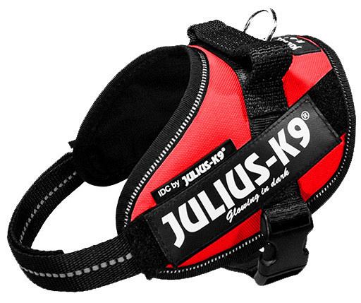 Julius K9 IDC Powerharness red